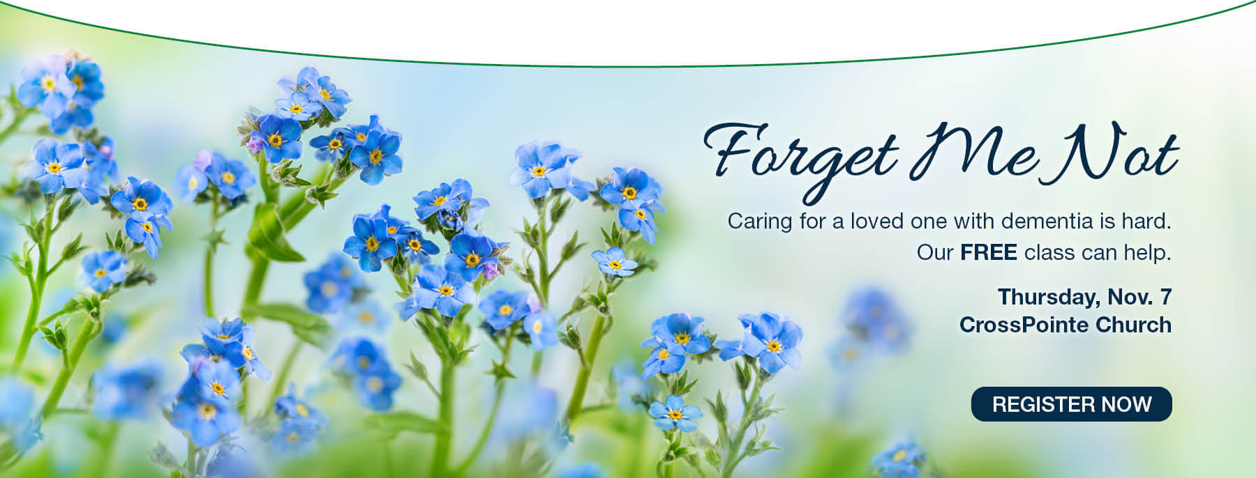 Forget Me Not